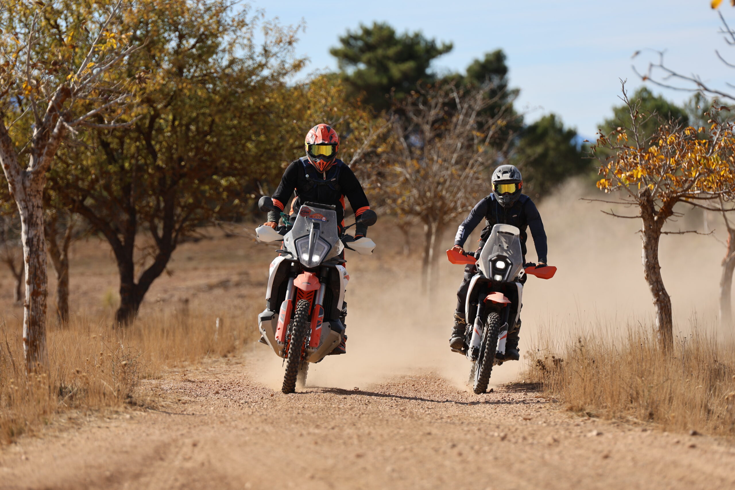 MonegrosBook 2026, ya tenemos fecha